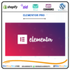 Elementor Pro